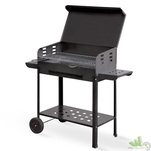 Barbecue barbeque carbone - barbecue,